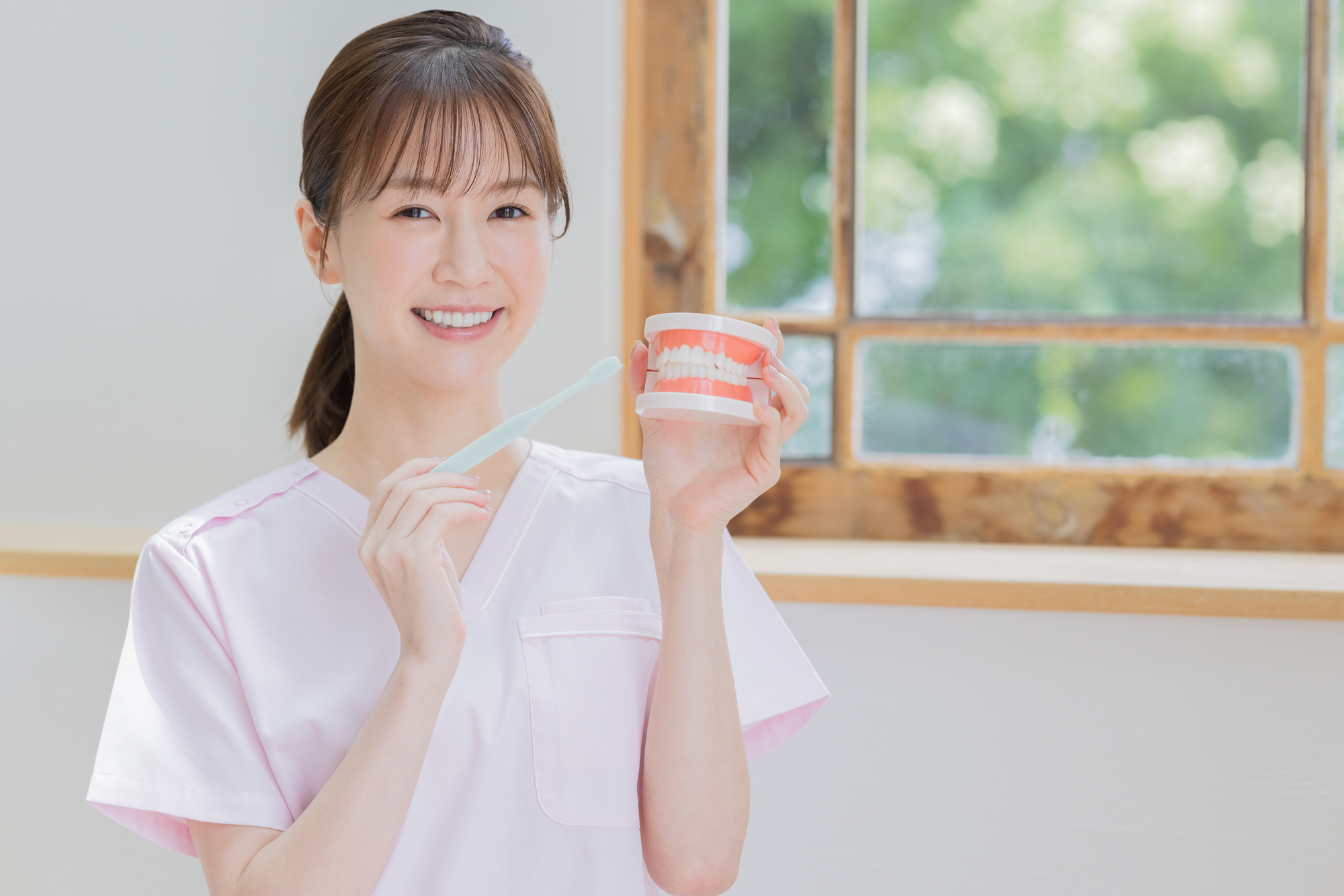 歯の模型と歯ブラシを持って微笑む歯科医師