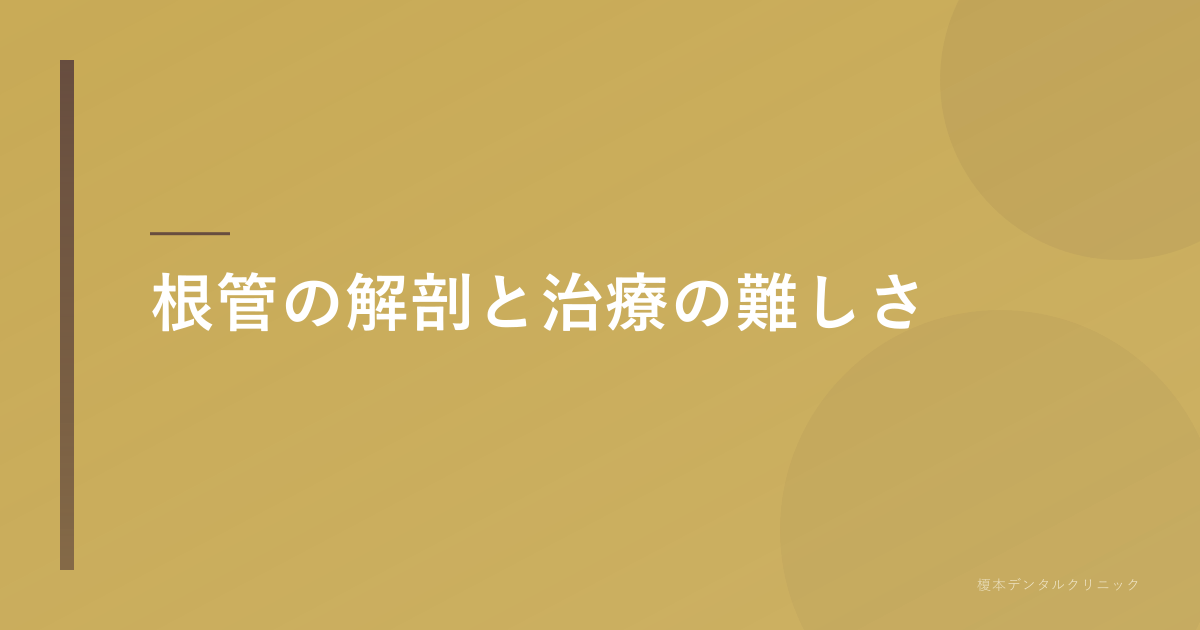 根管の解剖と治療の難しさ