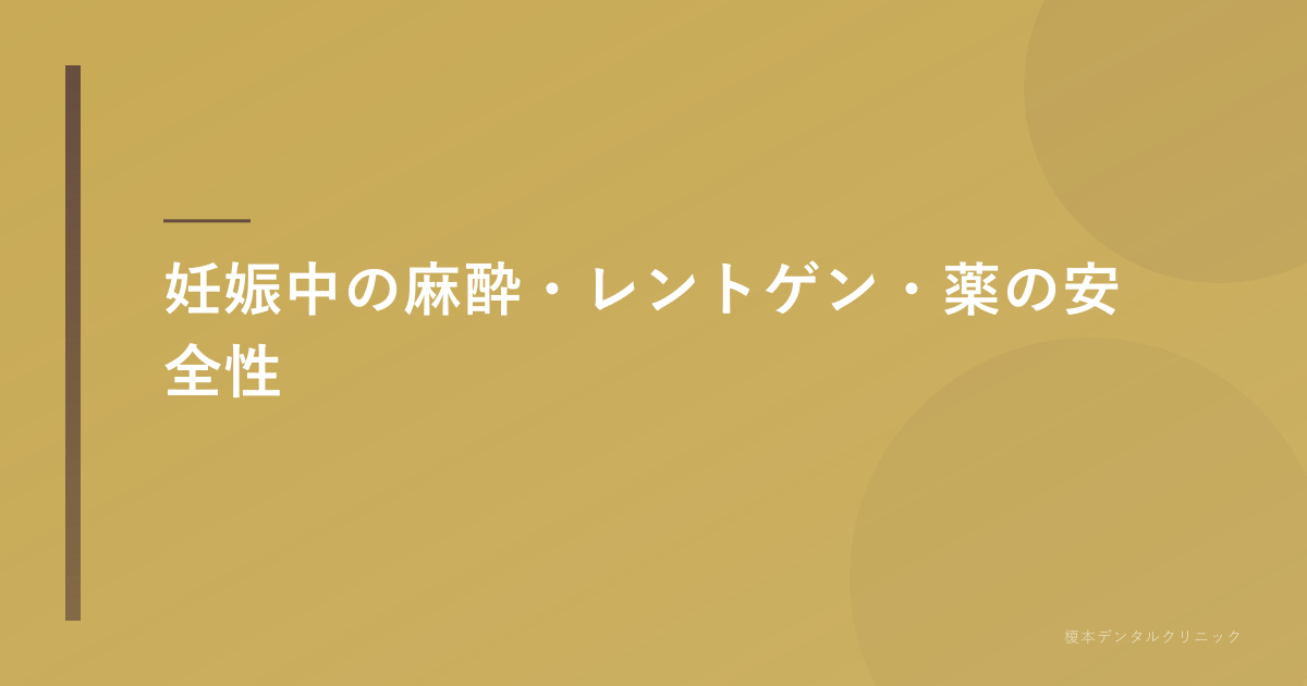 麻酔・レントゲン・薬の安全性