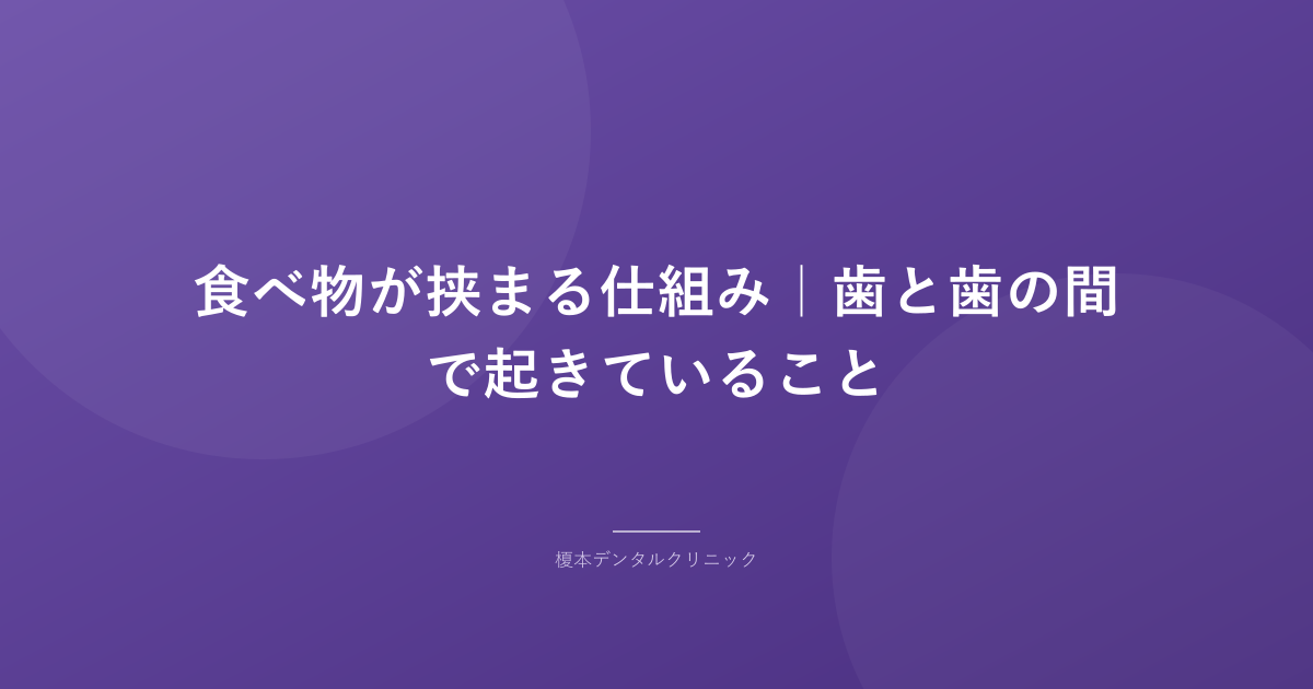 食べ物が挟まる仕組み｜歯と歯の間で起きていること